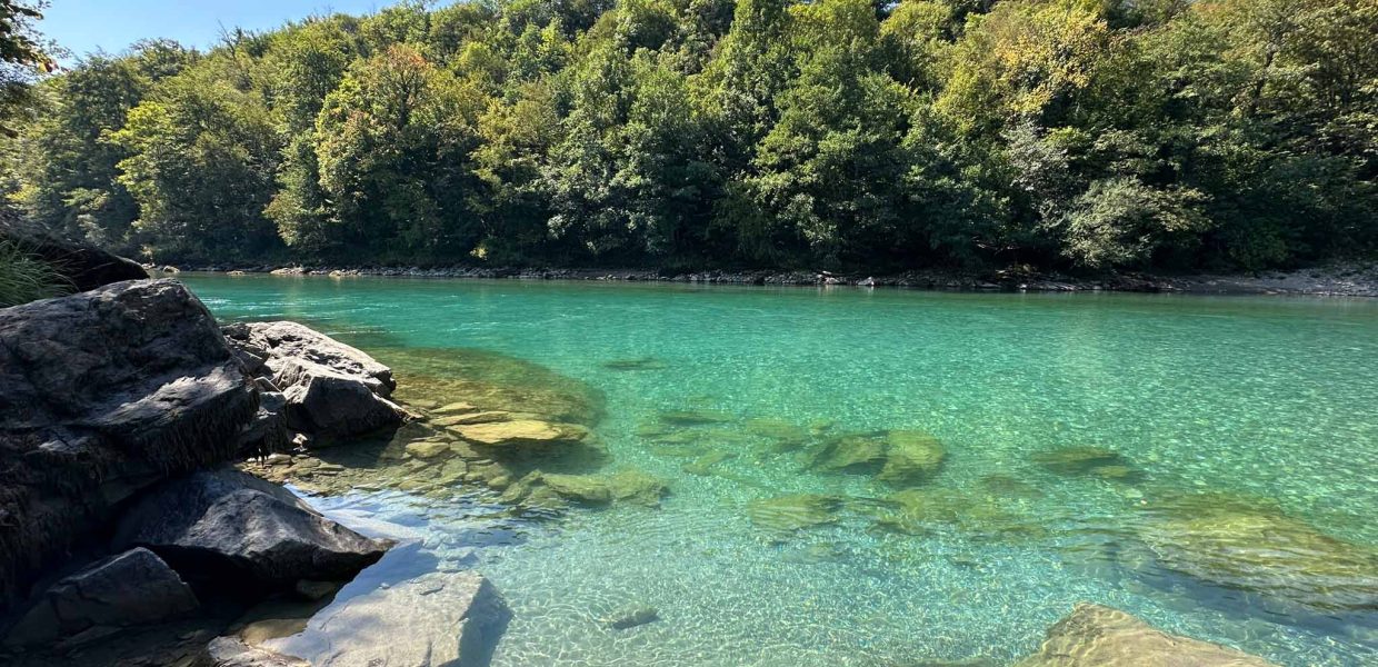 drina 1